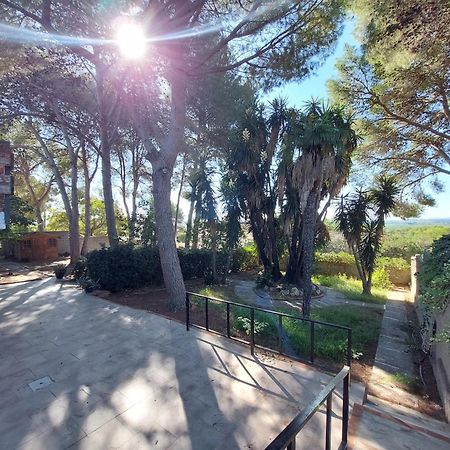 Chalet Rustico Con Piscina Y Barbacoa, Valencia Torrent  Exterior foto