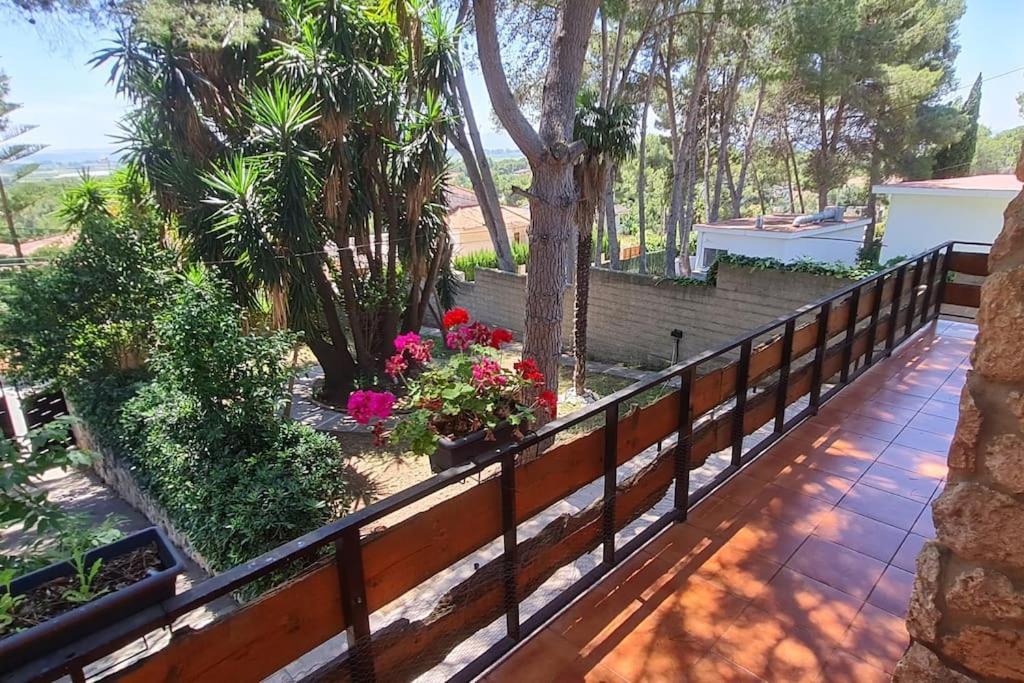 Chalet Rustico Con Piscina Y Barbacoa, Valencia Torrent  Exterior foto